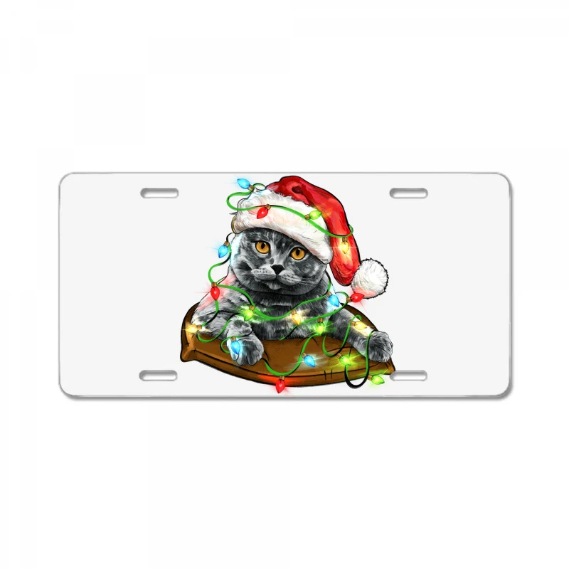 Christmas Scottish Fold Cat License Plate 3 Christmas Scottish Fold Cat License Plate